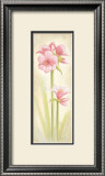 Buy Fun at AllPosters.com