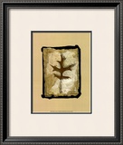 Buy Kyoto Leaves I at AllPosters.com