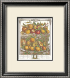 Twelve Months of Fruits, 1732, April