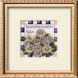 Buy Shasta Daisy at AllPosters.com