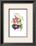 Buy Flowers at AllPosters.com