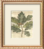 Buy Weathered Oak Leaves I at AllPosters.com