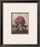 Buy The Pontic Rhododendron at AllPosters.com