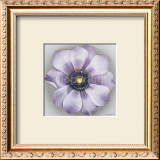 Buy Wheel of Hope at AllPosters.com