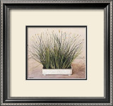 Buy Bare Grass II at AllPosters.com