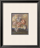 Buy Group of Carnations at AllPosters.com