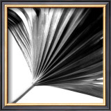 Buy Black and White Palms II at AllPosters.com