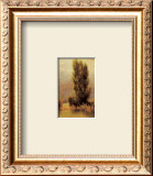 Buy Soft Morning Light at AllPosters.com