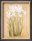 Buy Flower IV at AllPosters.com