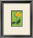 Buy Paris Daisy at AllPosters.com