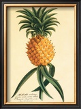 Buy Ho'okipa at AllPosters.com