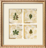 Buy Nature's Gift I at AllPosters.com
