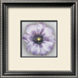 Buy Wheel of Hope at AllPosters.com