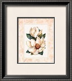 Buy Fleur du Jour, Magnolia at AllPosters.com