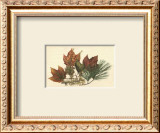 Buy Red Maple at AllPosters.com