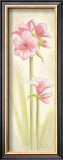 Buy Fun at AllPosters.com