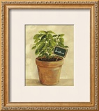 Buy Basilcum at AllPosters.com