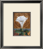 Angel's Trumpet