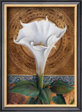 Angel's Trumpet