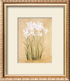 Buy Flower IV at AllPosters.com