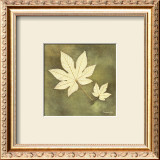 Buy Maple Leaf at AllPosters.com