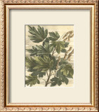 Buy Weathered Maple Leaves I at AllPosters.com