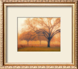 Buy Memory of Trees at AllPosters.com