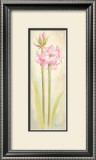 Buy Joy at AllPosters.com