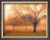 Buy Memory of Trees at AllPosters.com