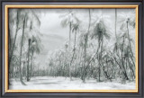 Buy Manzanilla Point Road at AllPosters.com
