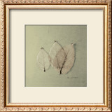 Buy Trio of Skelton Leaves at AllPosters.com