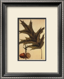 Red Oak