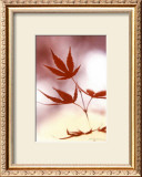 Buy Arrangement of the Leaves II at AllPosters.com