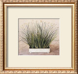 Buy Bare Grass II at AllPosters.com