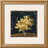 Buy Jap Maple XIII at AllPosters.com