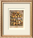 Fruits of the Season, Spring