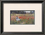 In Flanders Fields