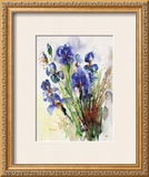 Buy Iris at AllPosters.com