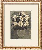 Magnolias