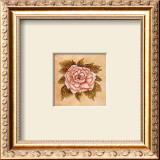 Buy Blush Peony at AllPosters.com