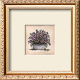 Buy Violets at AllPosters.com