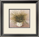 Buy Bare Grass I at AllPosters.com