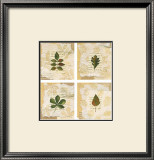 Buy Nature's Gift I at AllPosters.com