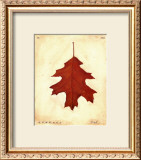 Buy Oak Leaf at AllPosters.com