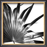 Buy Black and White Palms I at AllPosters.com