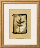 Buy Kyoto Leaves I at AllPosters.com