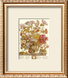 Buy Twelve Months of Flowers, 1730, October at AllPosters.com