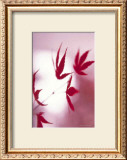 Buy Arrangement of the Leaves I at AllPosters.com