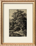 Buy Oak Tree at AllPosters.com