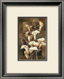 Buy Golden Calla Lilies at AllPosters.com